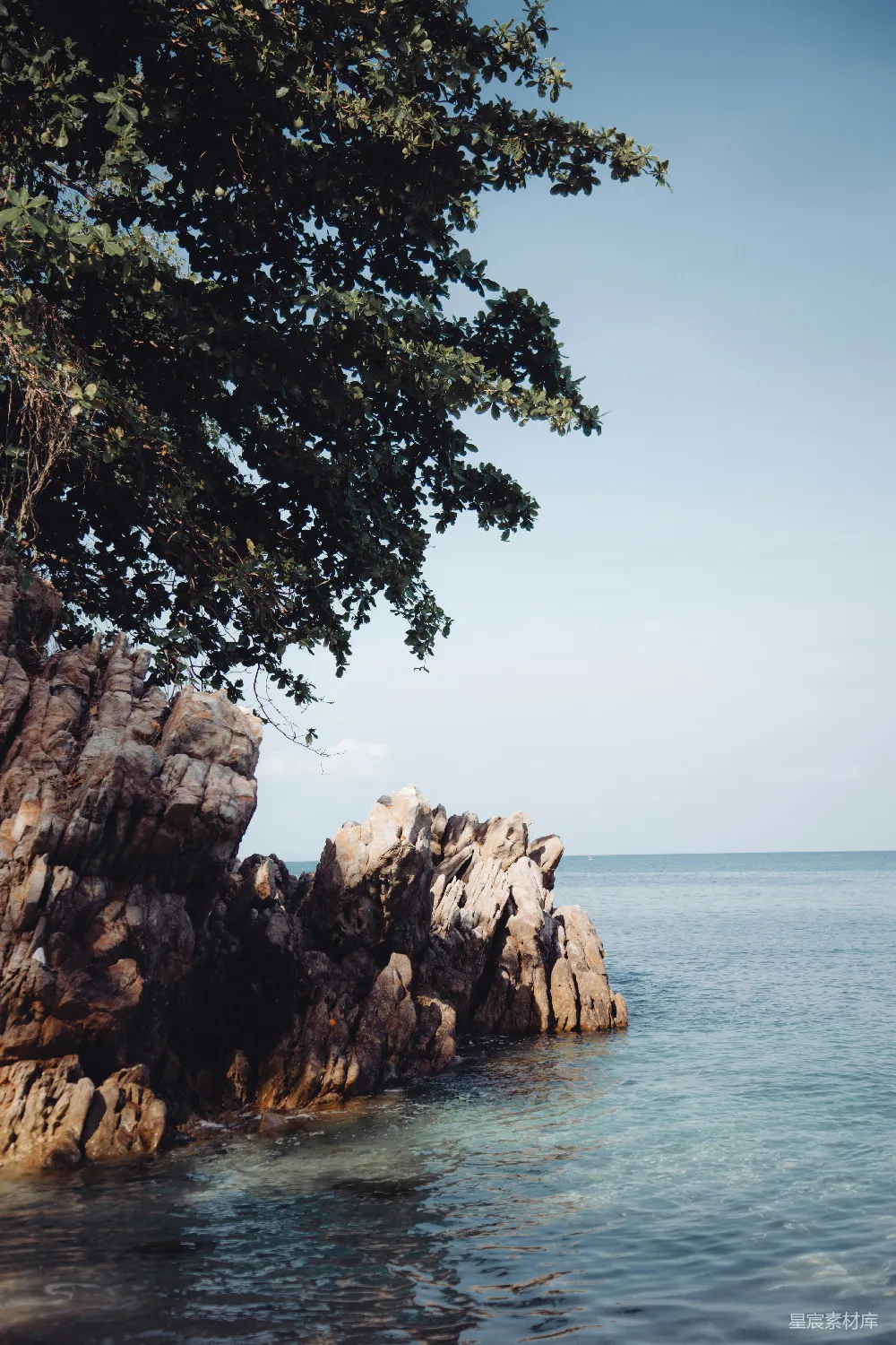 高清摄影 海滩 自然 风景 岩石 海景 海边的岩石与树木