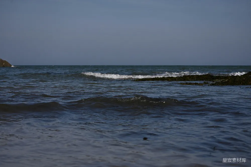 高清摄影 海浪 自然风光 海岸线 海洋 宁静 海边的波浪与海藻