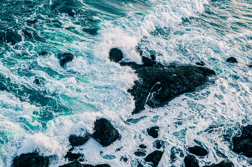 高清摄影 海洋 自然 波浪 礁石 动态 海浪与礁石的交响曲