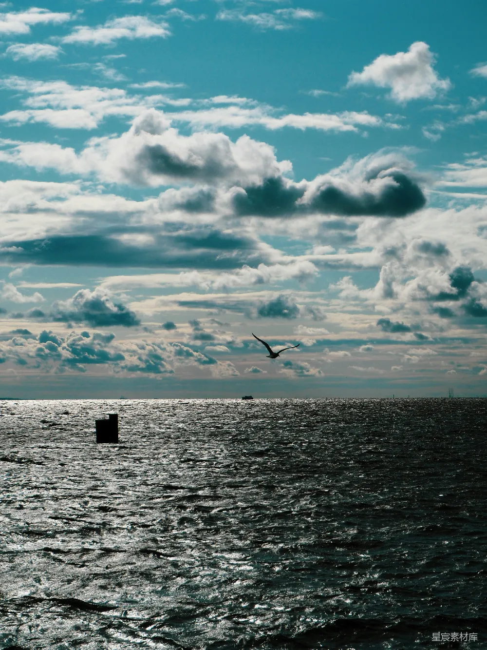 高清摄影 海景 自然风光 孤独 飞翔 宁静 海天一色，孤鸥飞翔
