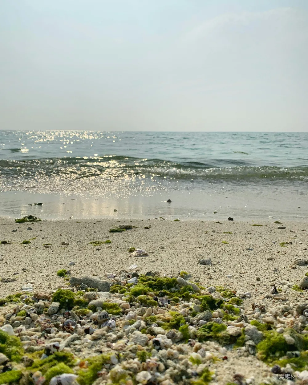 高清摄影 海滩 阳光 自然 休闲 户外 阳光下的海滩