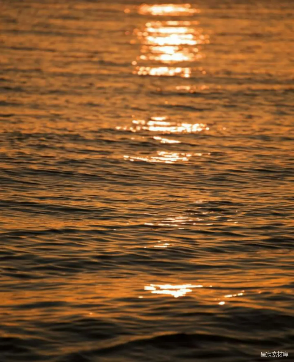 高清摄影 夕阳 波光 自然 宁静 美丽 夕阳下的波光粼粼