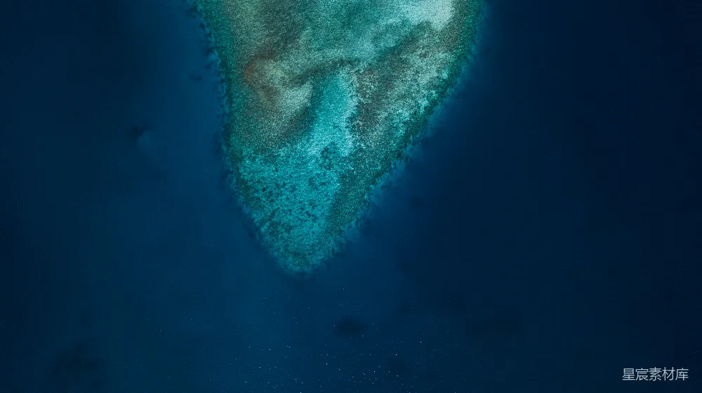 高清摄影 海洋 珊瑚礁 自然风光 水下世界 生态 蔚蓝海域的珊瑚礁