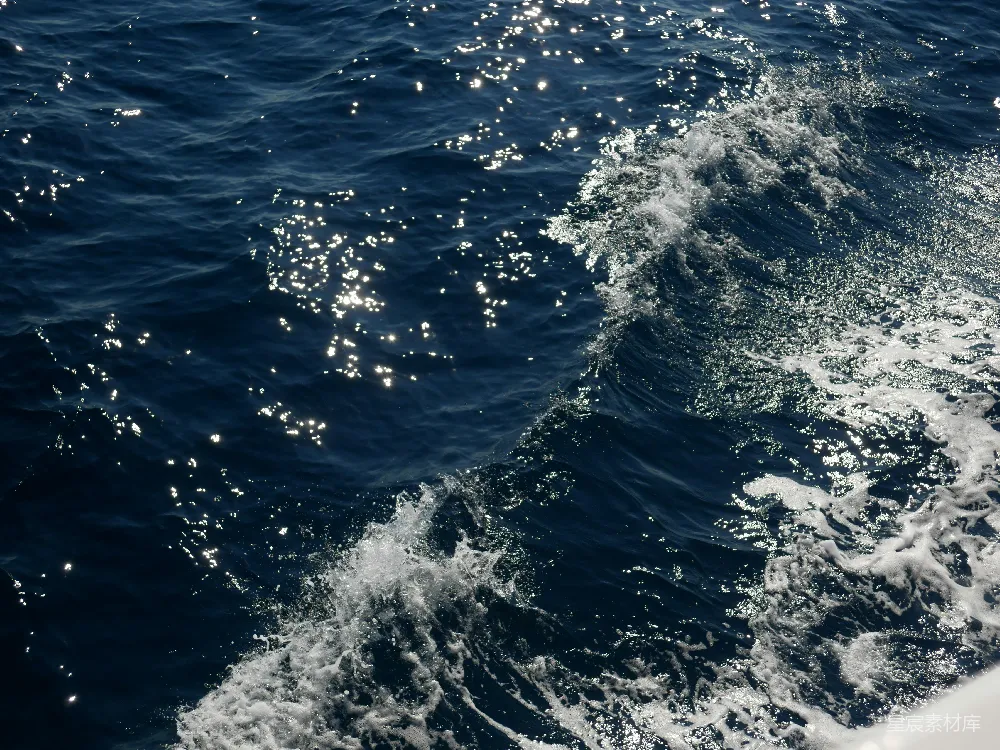 高清摄影 海洋 自然 阳光 水花 动态 海浪与阳光的交响