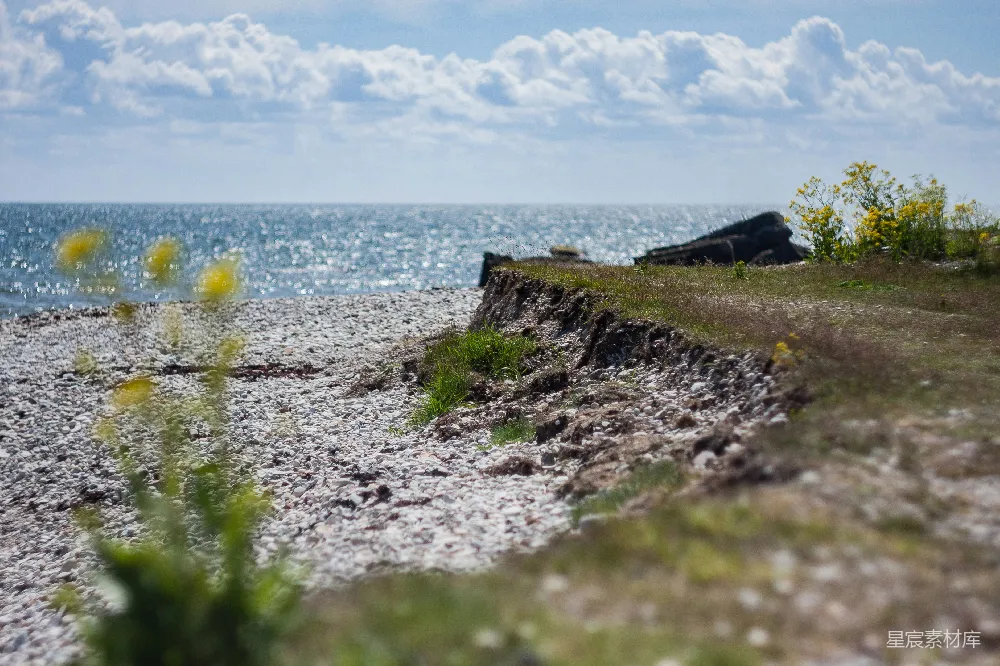 高清摄影 海滩 自然风光 海岸线 宁静 风景 海边的石滩与野花