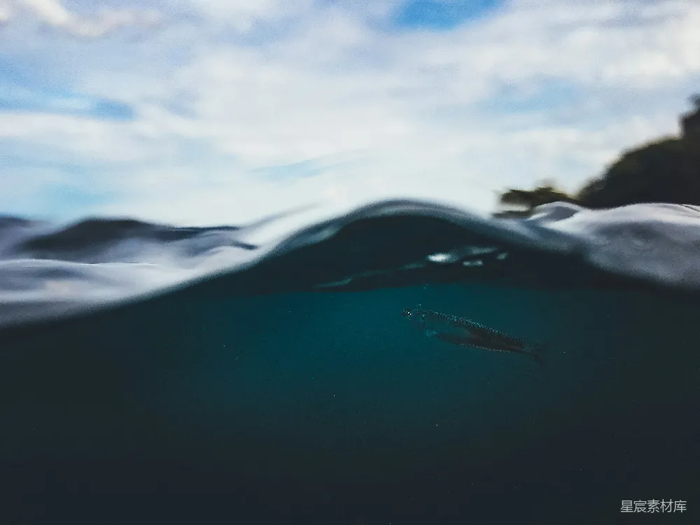 高清摄影 海洋 自然 宁静 水下摄影 自然风光 海浪与游鱼