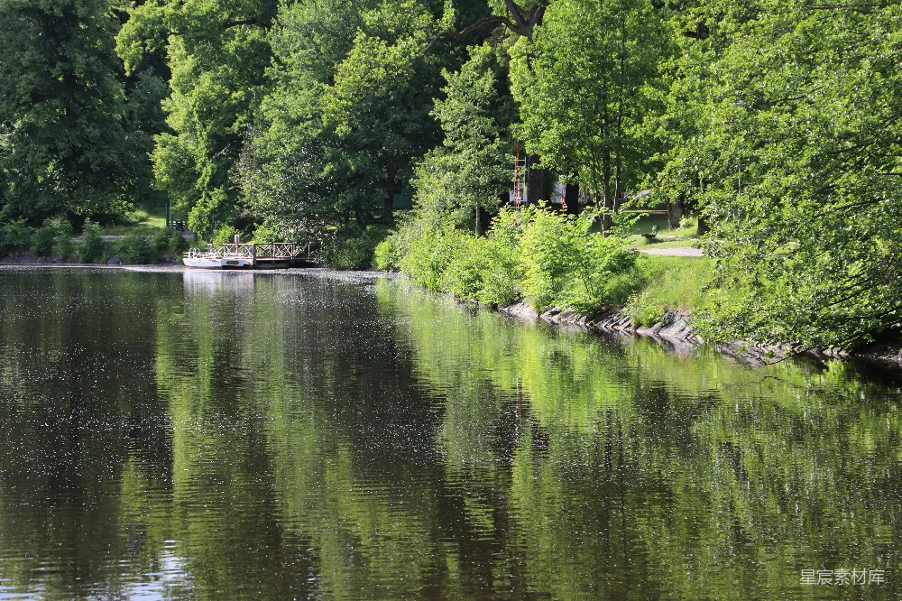 高清摄影 自然风光 宁静 风景 湖泊 植被 静谧的湖畔绿意盎然