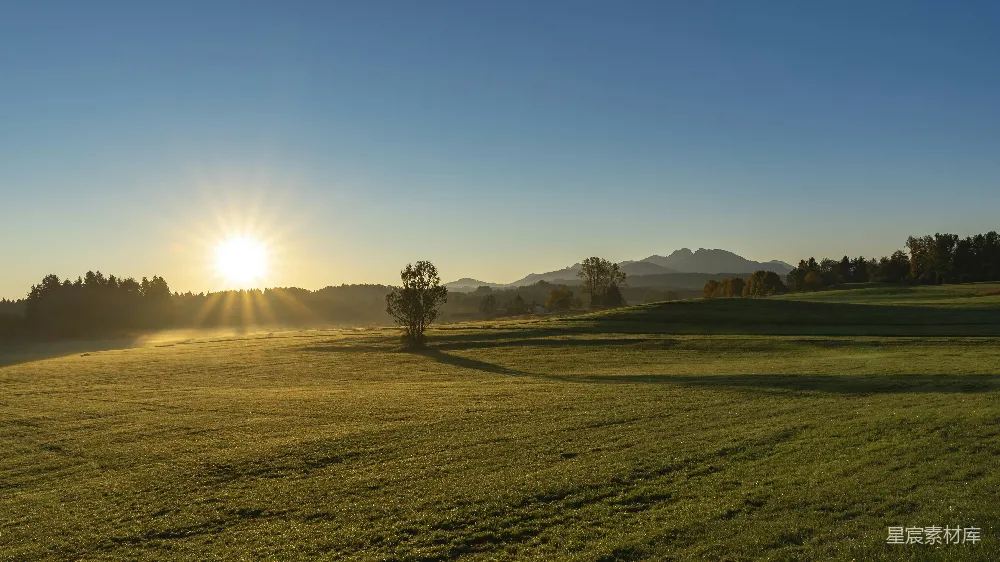 高清摄影 乡村 日出 自然 宁静 风景 晨光中的田野