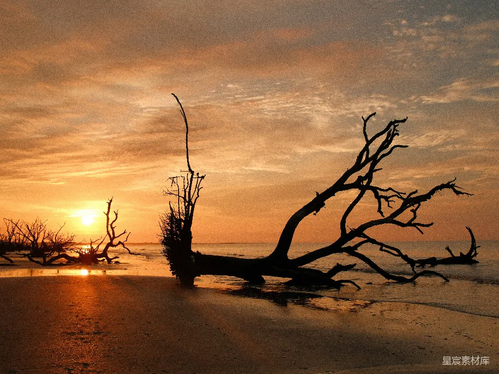 高清摄影 自然风光 日落 海滩 剪影 宁静 海滩上的夕阳剪影