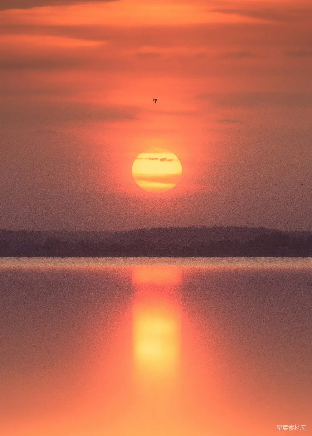高清摄影 日落 平静 自然 风景 宁静 夕阳下的宁静湖面
