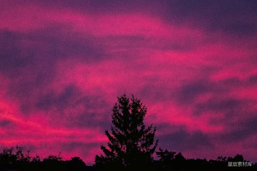 高清摄影 剪影 暮色 天空 自然 宁静 暮色中的剪影