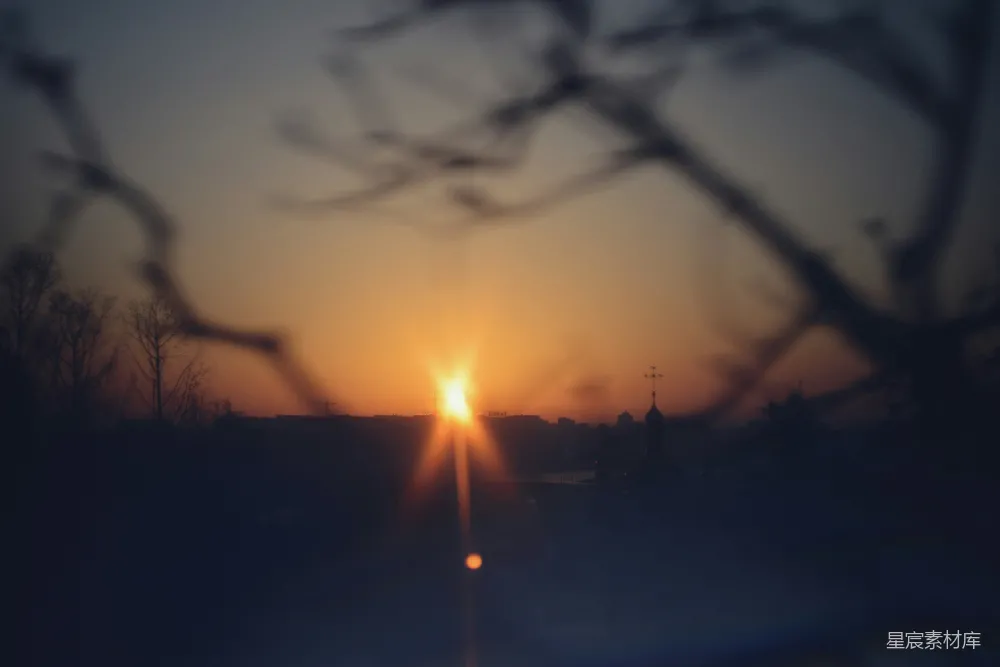 高清摄影 自然 日落 宁静 树枝 城市 夕阳透过树枝的剪影