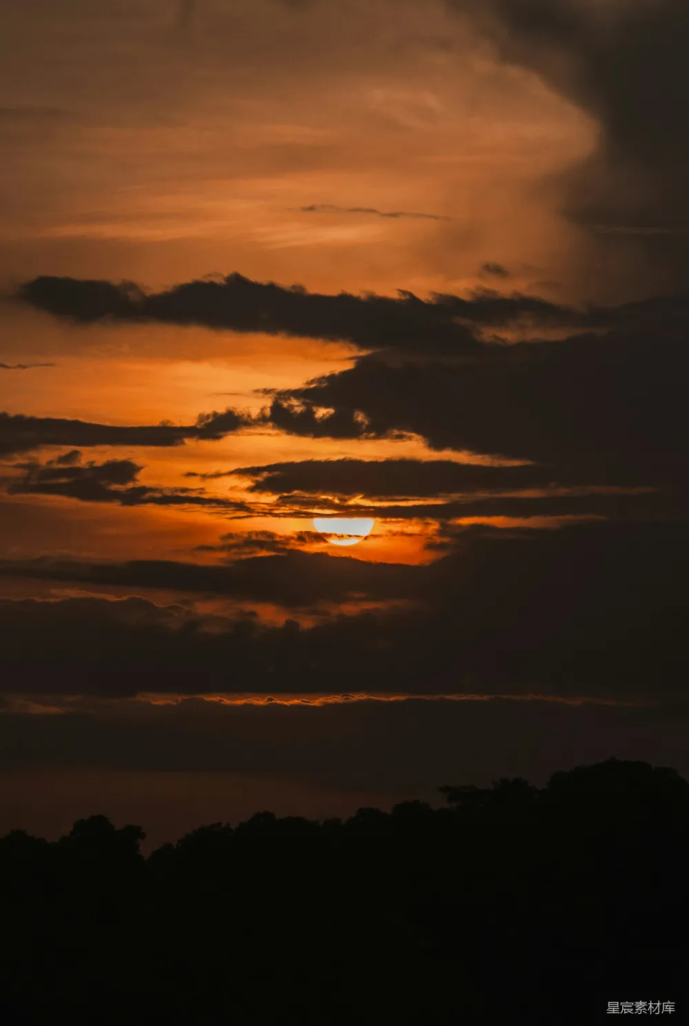 高清摄影 夕阳 云海 自然景观 宁静 风景 夕阳下的云海