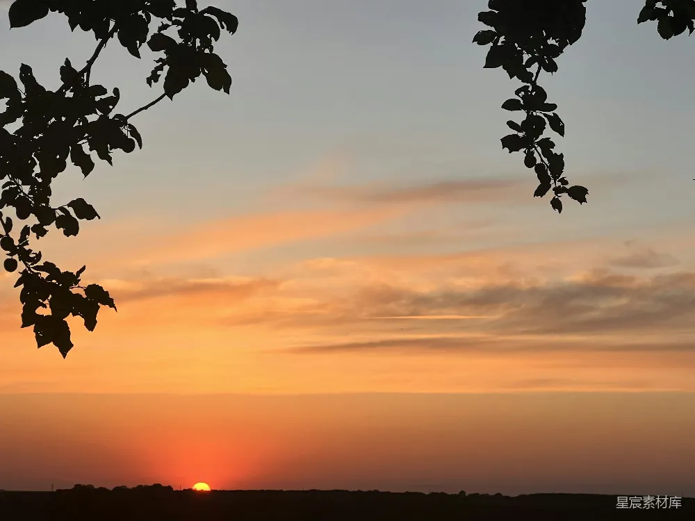高清摄影 日落 自然风光 宁静 剪影 树影 夕阳西下，树影剪影