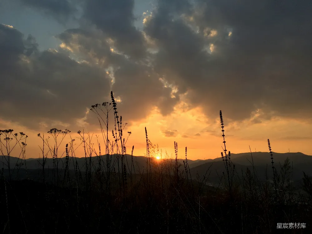 高清摄影 日落 自然风光 山景 植物剪影 宁静 夕阳下的山间植物