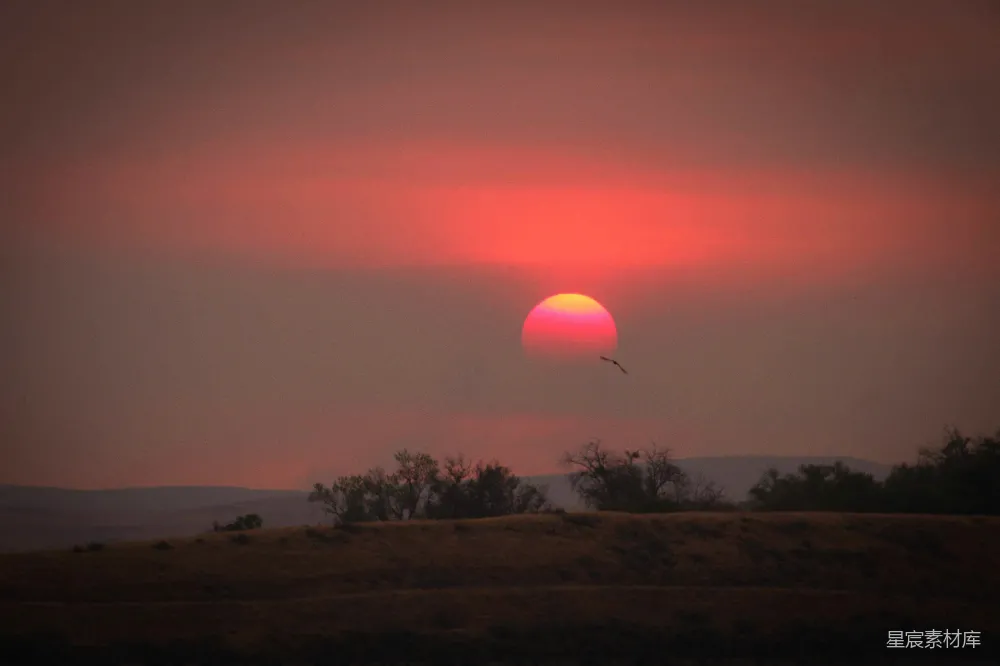 高清摄影 夕阳 田野 寂静 自然 风景 夕阳下的寂静田野