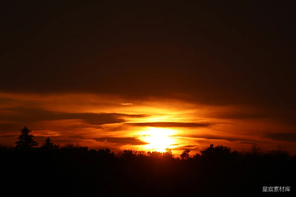 高清摄影 日落 自然 宁静 森林 风景 夕阳下的森林剪影