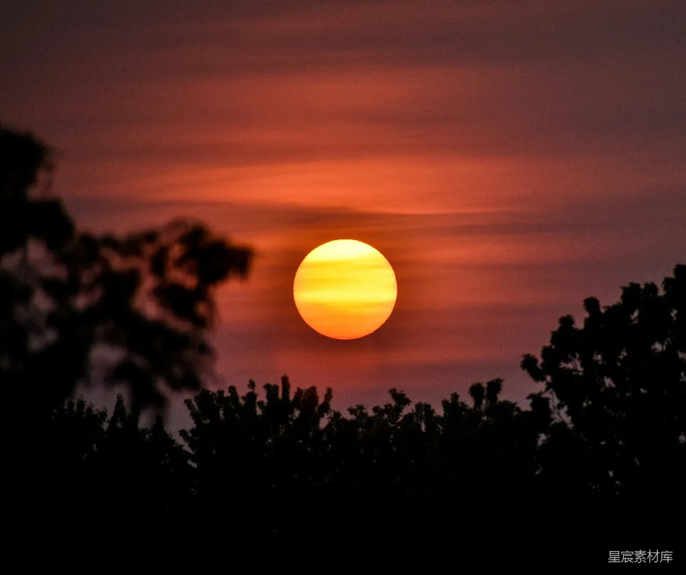 高清摄影 日落 自然风光 剪影艺术 宁静 自然美景 夕阳下的树梢剪影