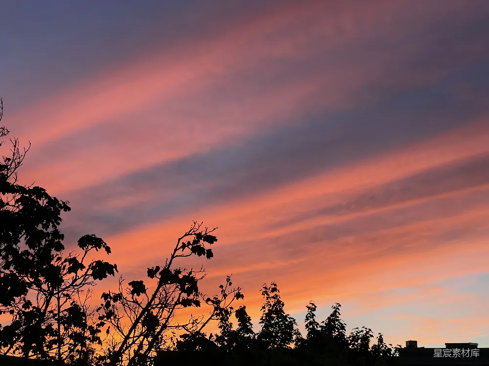 高清摄影 日落 自然景观 剪影 宁静 户外 夕阳下的树影