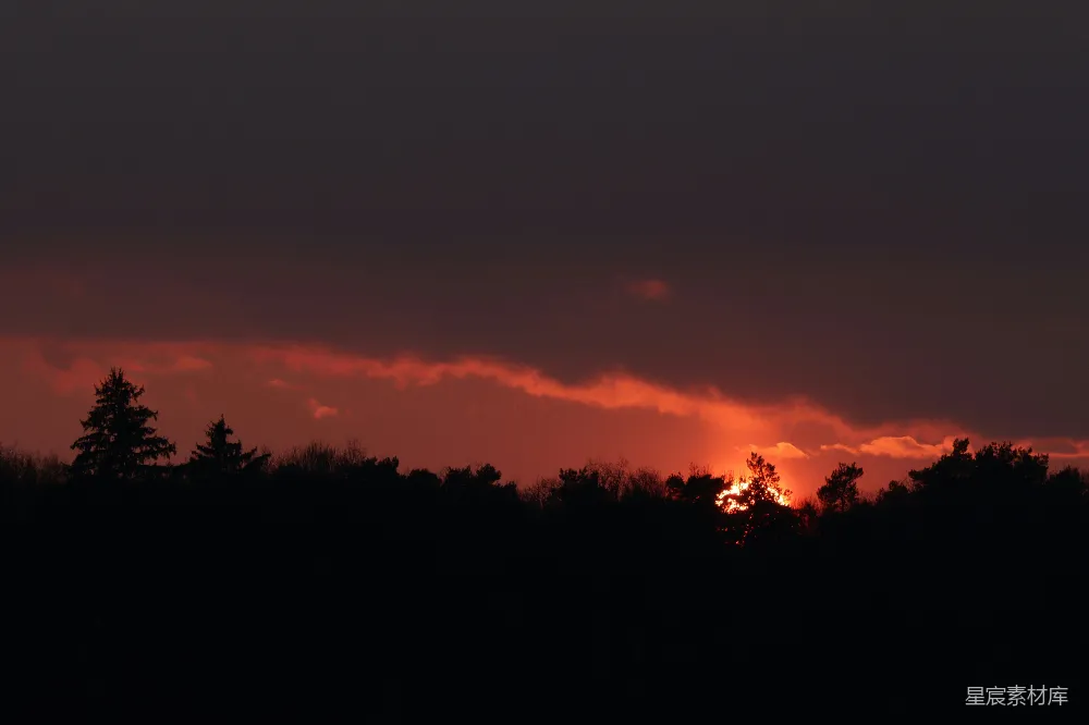 高清摄影 日落 森林 剪影 自然 宁静 夕阳下的森林剪影