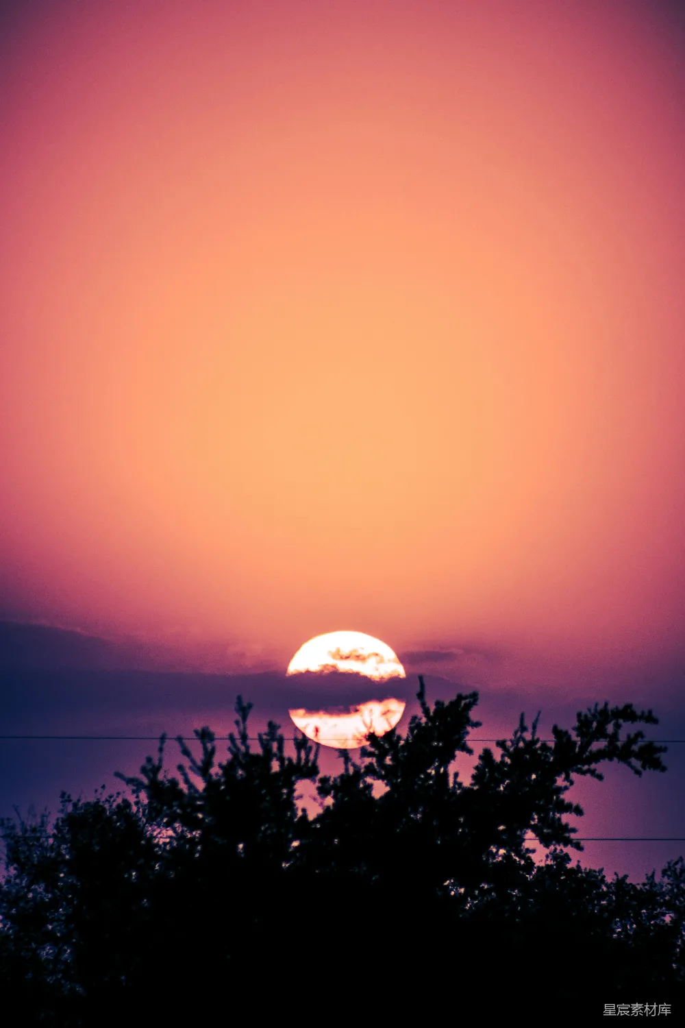 高清摄影 夕阳 自然风光 宁静 日落 树梢 夕阳下的静谧景色