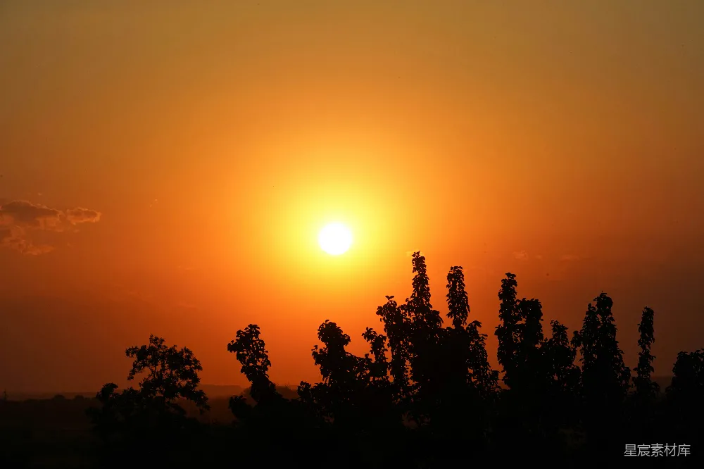 高清摄影 夕阳 树影 自然风光 宁静 日落 夕阳下的树影
