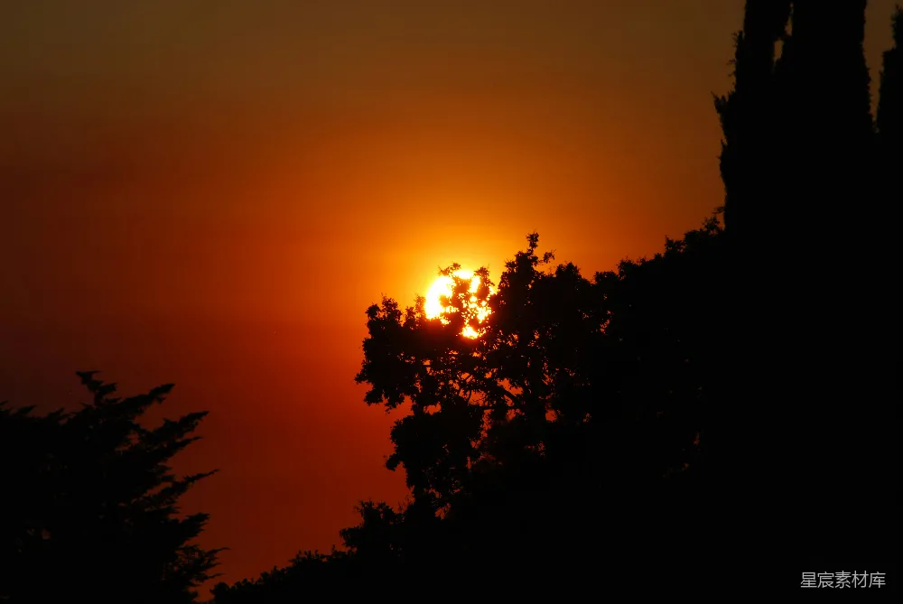 高清摄影 日落 自然美景 天空 树木 宁静 夕阳映红天际