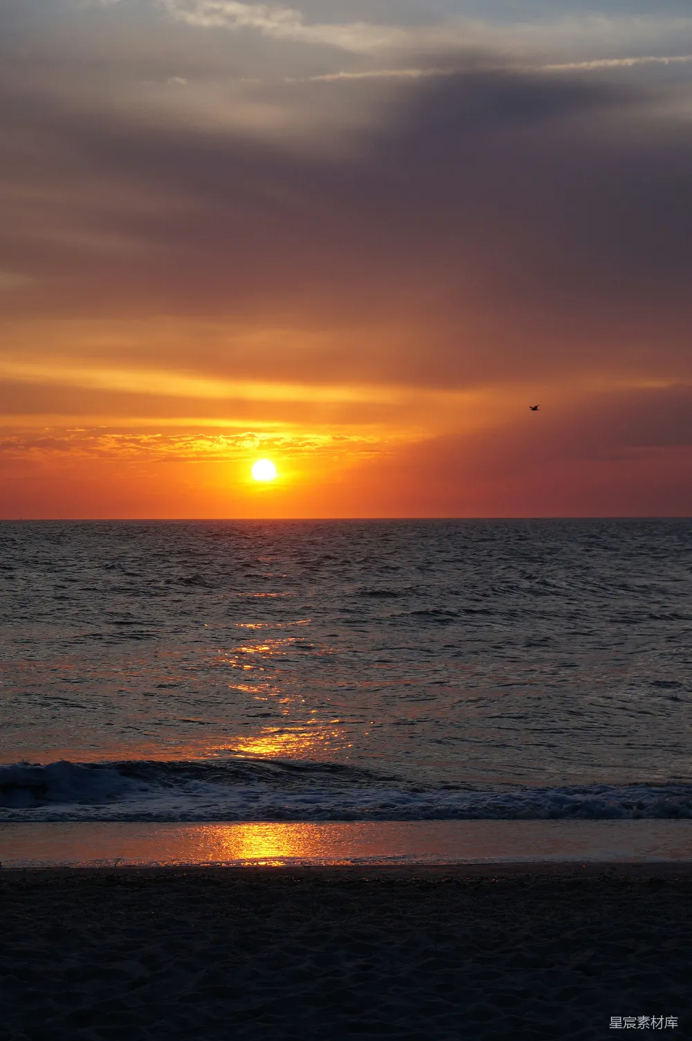 高清摄影 日落 海滩 宁静 自然 美景 日落海滩