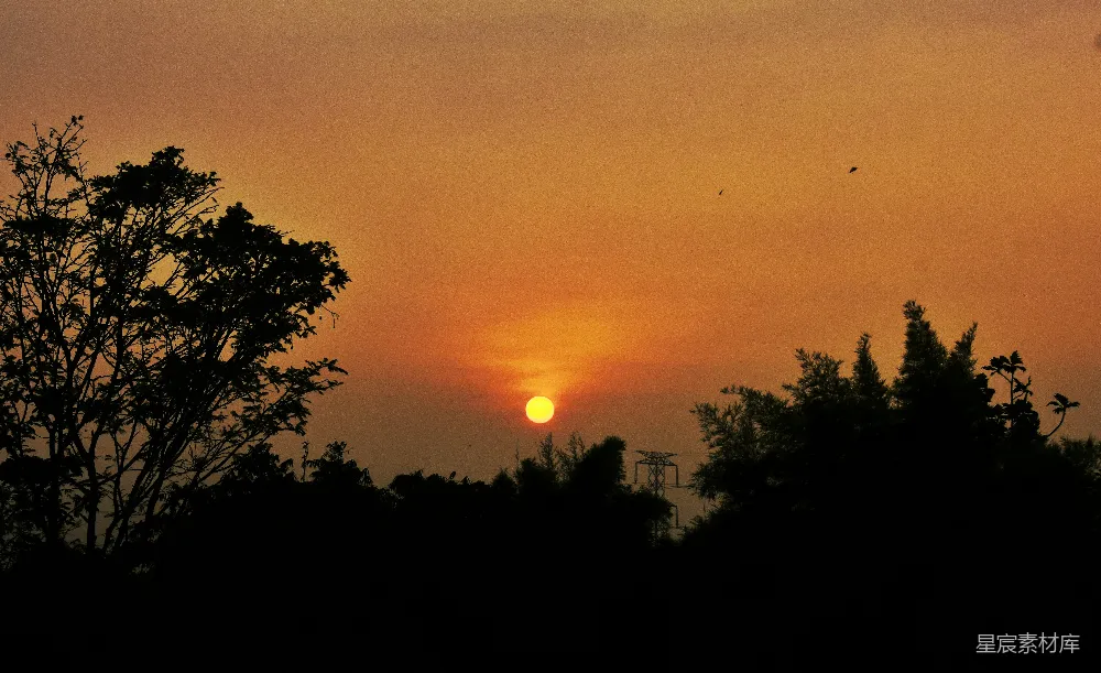 高清摄影 黄昏 夕阳 树影 自然 宁静 黄昏中的树影与夕阳