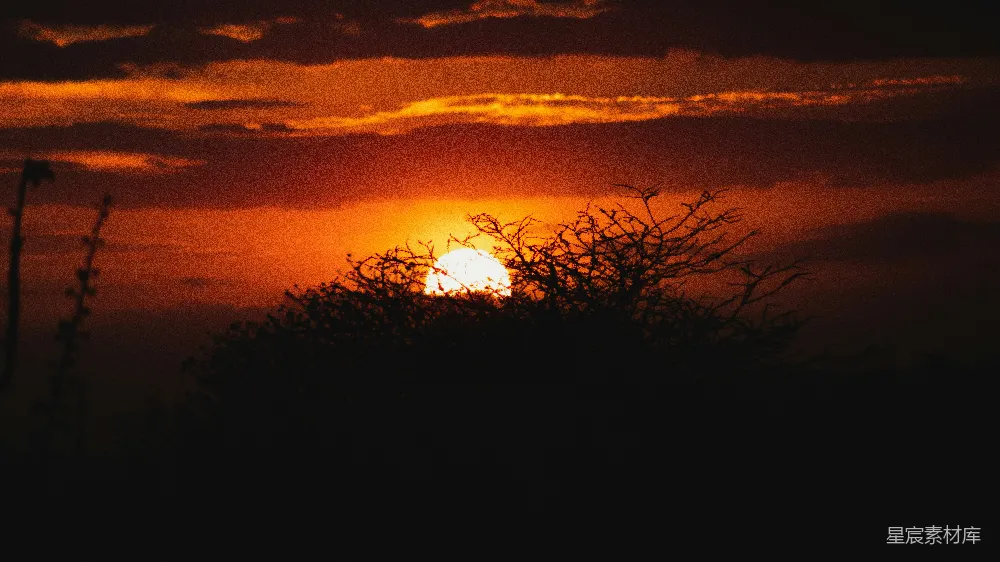 高清摄影 夕阳 荒野 剪影 自然风光 宁静 夕阳下的荒野剪影