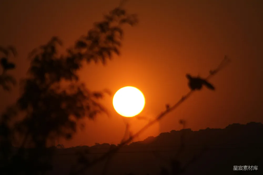 高清摄影 夕阳 剪影 自然 宁静 风景 夕阳下的剪影