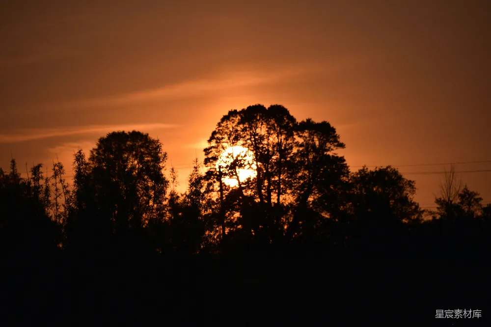 高清摄影 自然风光 日落 宁静 树影 橙色 夕阳树影