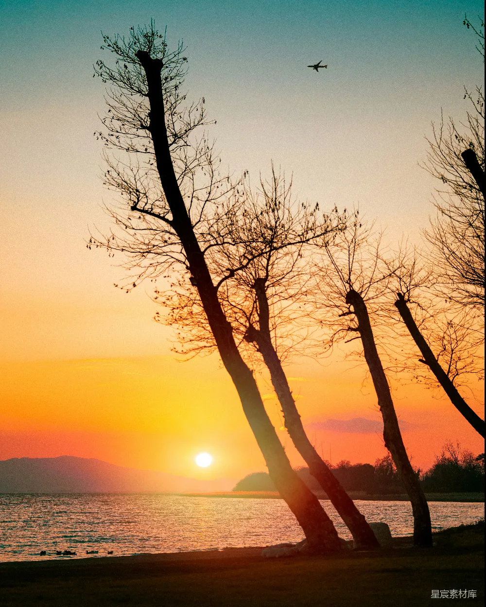 高清摄影 夕阳 湖景 自然风光 宁静 日落 湖边落日与静谧的树木