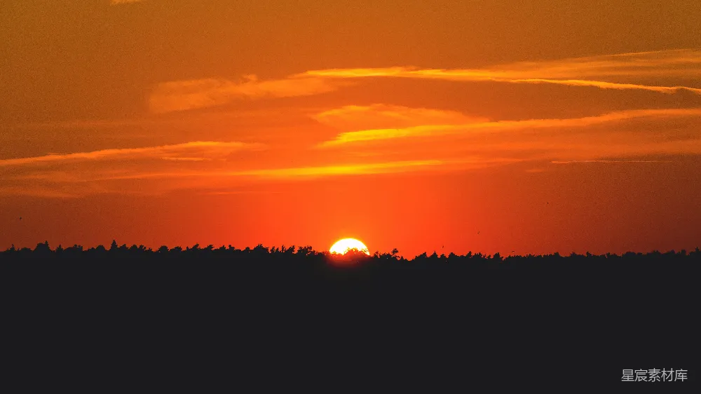 高清摄影 日落 自然风光 宁静 森林 天空 夕阳下的宁静森林