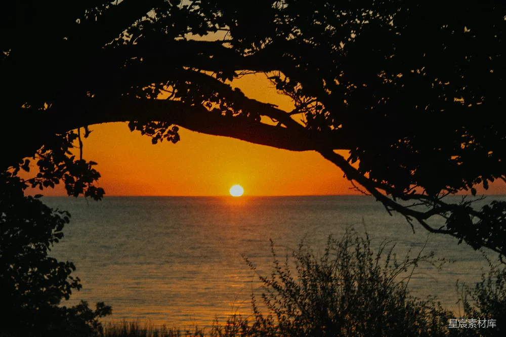 高清摄影 夕阳 海景 自然 宁静 树影 夕阳西下，树影下的宁静