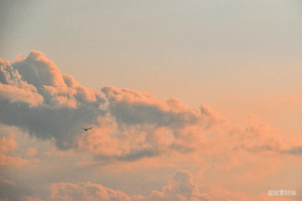 高清摄影 天空 自然 宁静 日落 飞翔 夕阳下的云与鸟