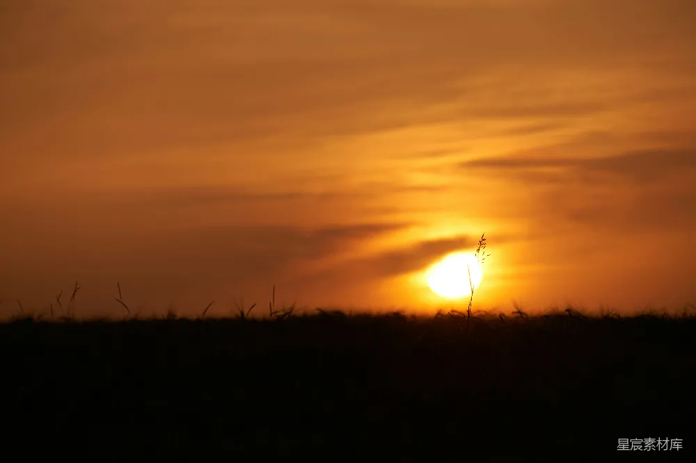 高清摄影 夕阳 麦田 宁静 自然 田园 夕阳下的麦田