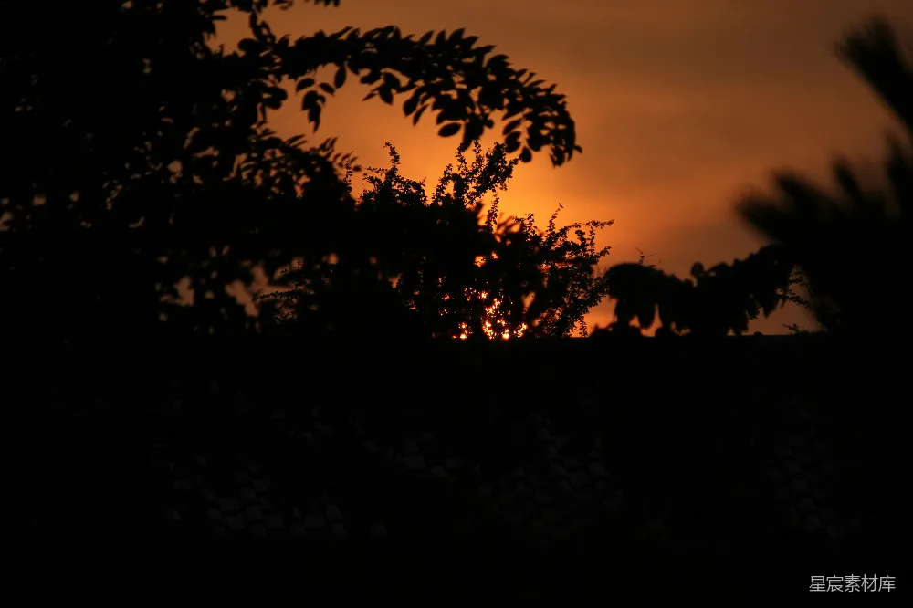 高清摄影 黄昏 剪影 自然 宁静 风景 黄昏时分的剪影
