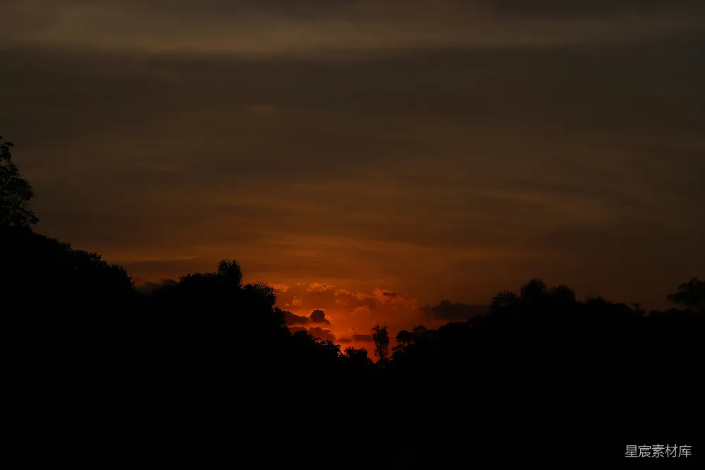 高清摄影 自然风光 日落 森林 剪影 宁静 夕阳下的森林剪影