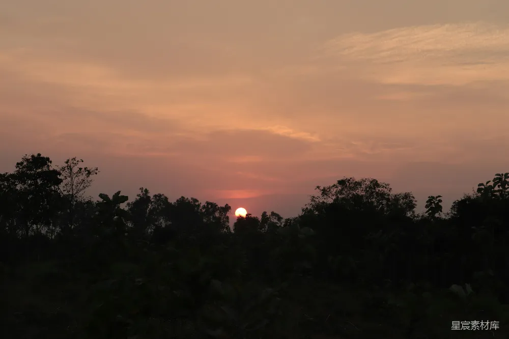 高清摄影 夕阳 森林 宁静 自然 风景 夕阳西下，静谧森林