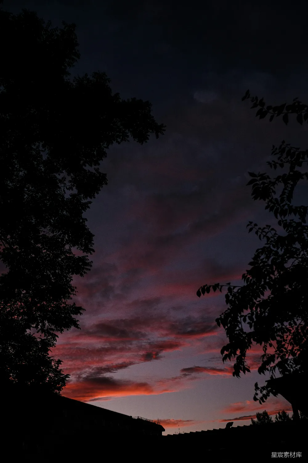 高清摄影 黄昏 天空 树木 自然 宁静 黄昏时分的天空