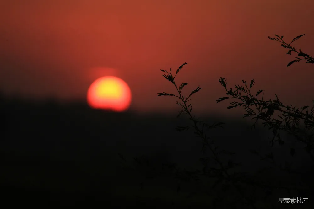 高清摄影 夕阳 剪影 自然 宁静 黄昏 夕阳下的剪影