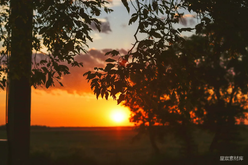高清摄影 自然风光 日落 宁静 树影 夕阳 夕阳下的树影