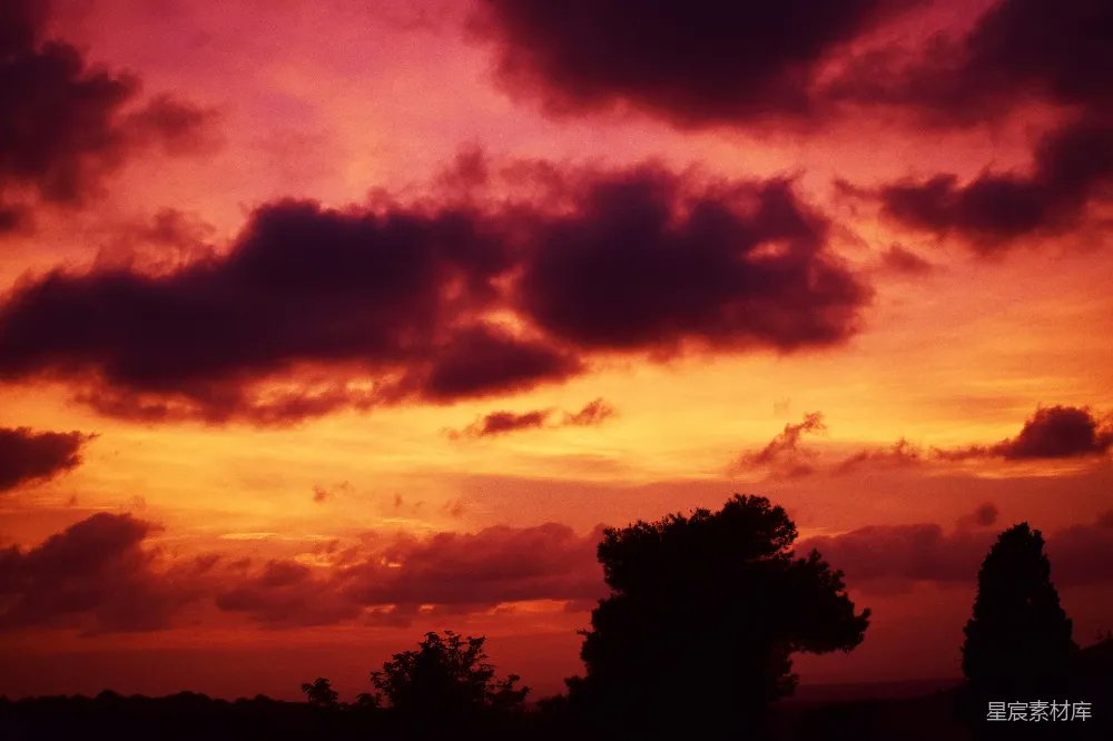 高清摄影 夕阳 云彩 树影 自然风光 宁静 夕阳下的云彩与树影