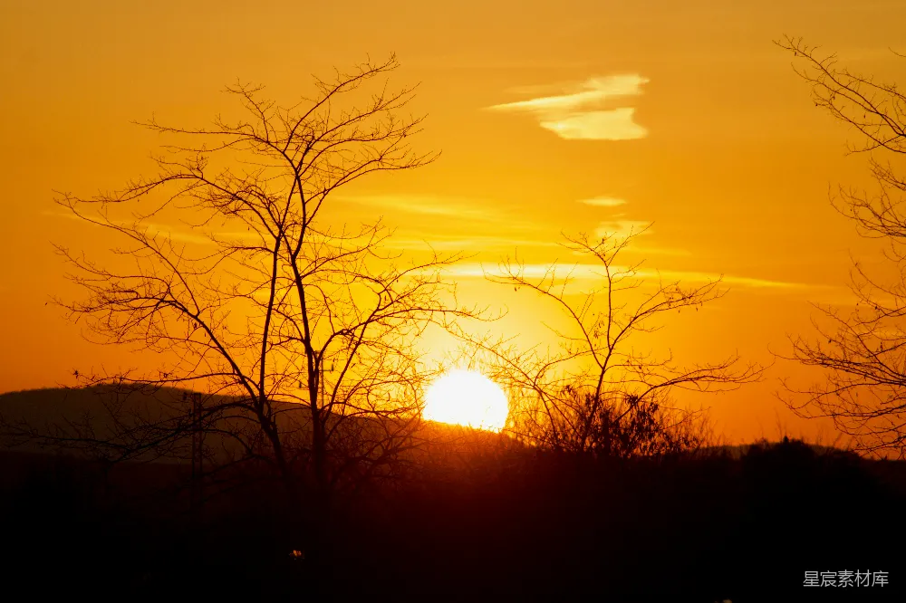 高清摄影 日落 自然风光 静谧 树影 温暖 夕阳余晖下的树影