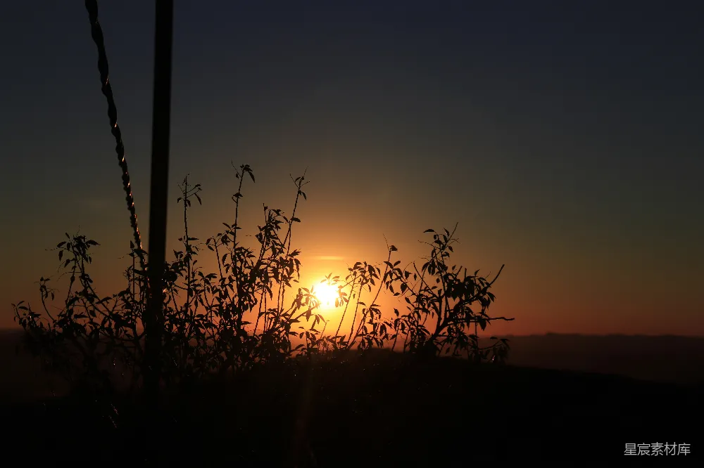 高清摄影 夕阳 剪影 自然 宁静 风景 夕阳下的剪影