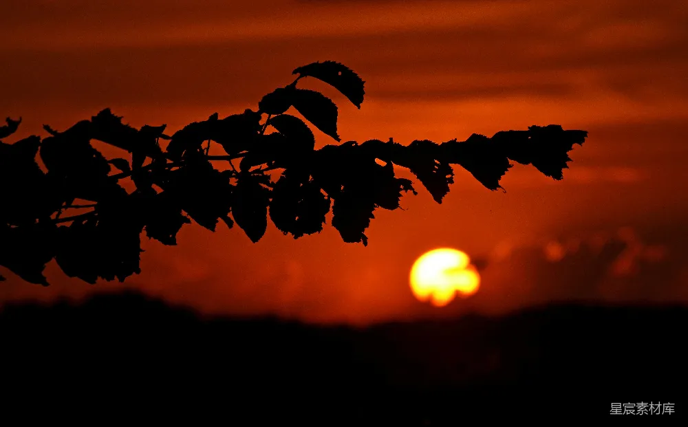 高清摄影 夕阳 自然风光 剪影 宁静 风景 夕阳下的剪影