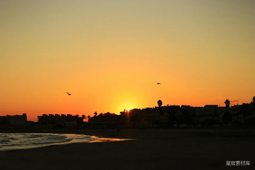 高清摄影 海滩 日落 剪影 自然 宁静 夕阳下的海滩剪影