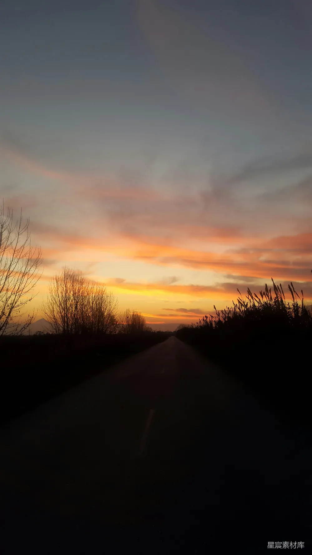 高清摄影 夕阳 乡间 小路 宁静 自然 夕阳下的乡间小路