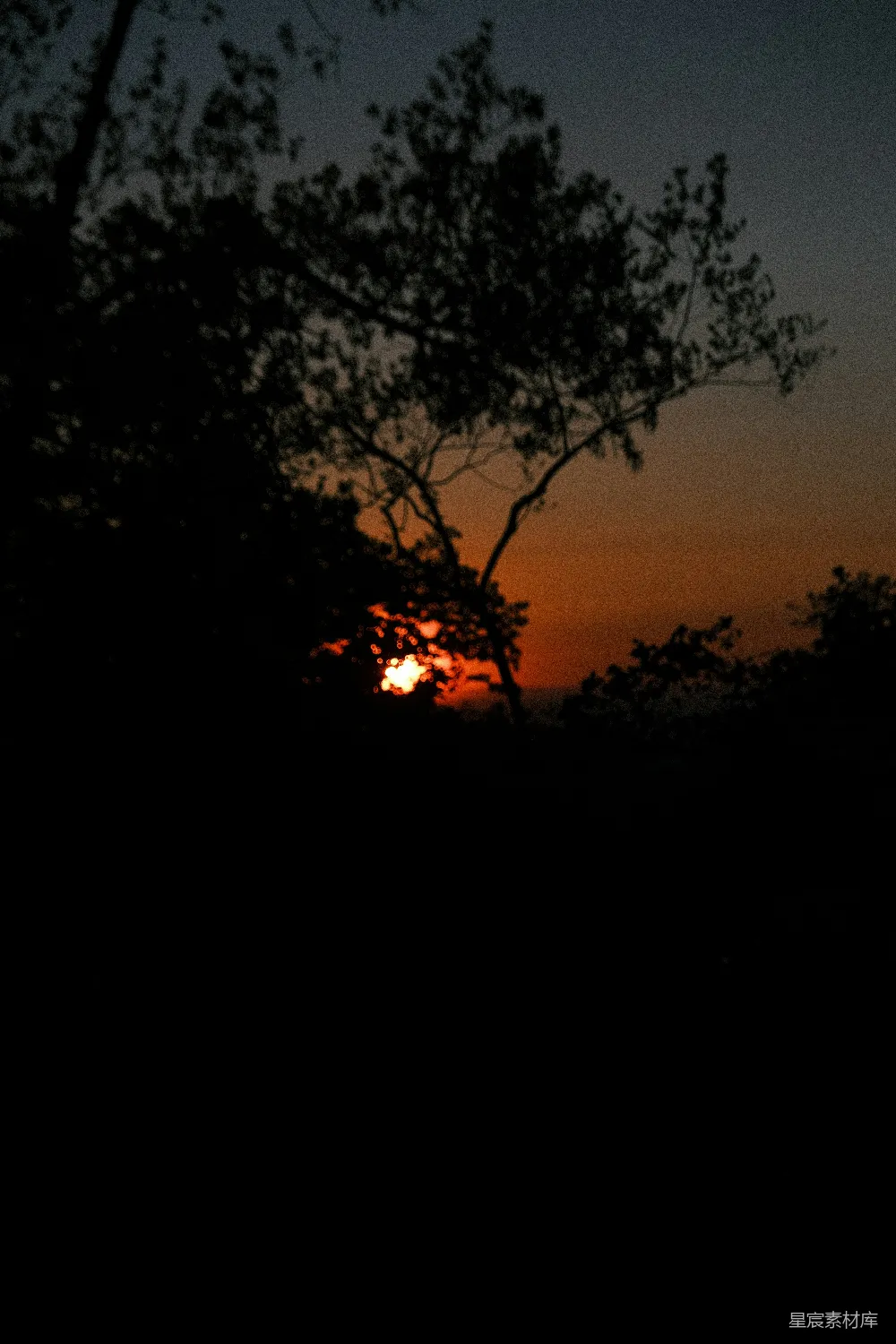 高清摄影 自然 黄昏 宁静 风景 树影 夕阳透过树梢